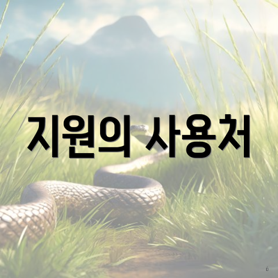 지원의 사용처