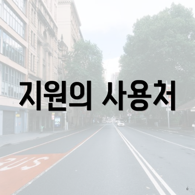지원의 사용처