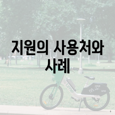 지원의 사용처와 사례