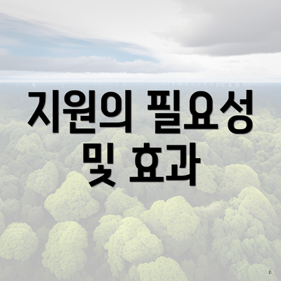 지원의 필요성 및 효과