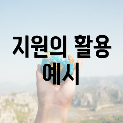 지원의 활용 예시
