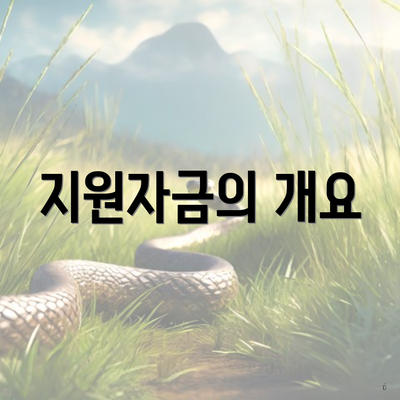 지원자금의 개요