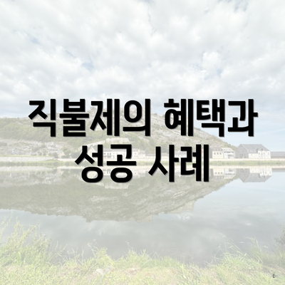직불제의 혜택과 성공 사례