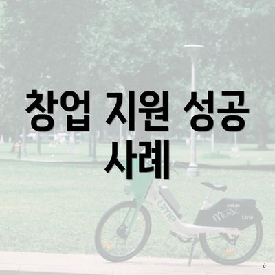 창업 지원 성공 사례