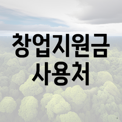 창업지원금 사용처