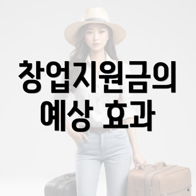창업지원금의 예상 효과