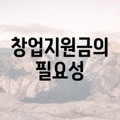 창업지원금의 필요성