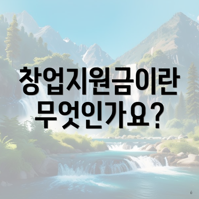 창업지원금이란 무엇인가요?