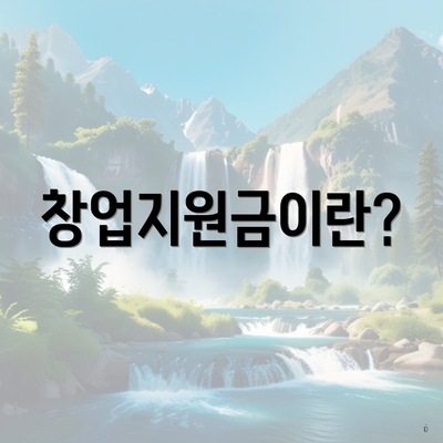 창업지원금이란?