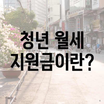 청년 월세 지원금이란?