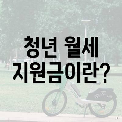 청년 월세 지원금이란?
