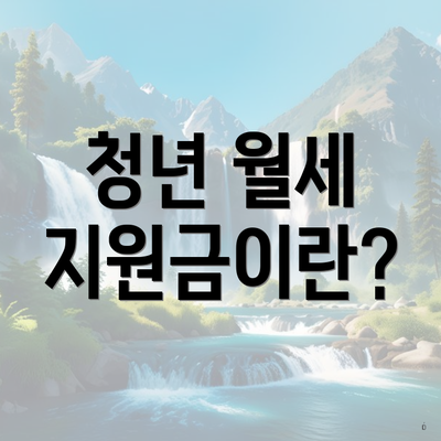 청년 월세 지원금이란?