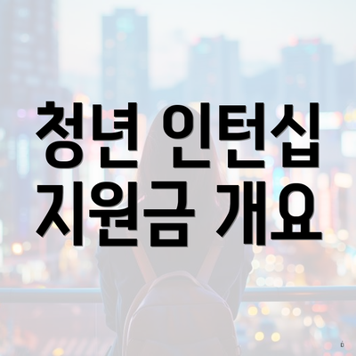청년 인턴십 지원금 개요