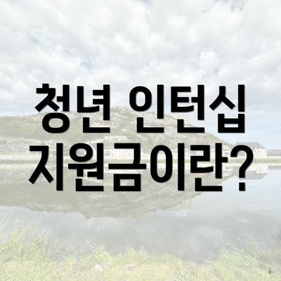 청년 인턴십 지원금이란?