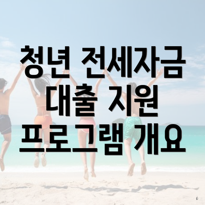 청년 전세자금 대출 지원 프로그램 개요