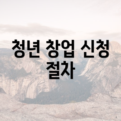 청년 창업 신청 절차
