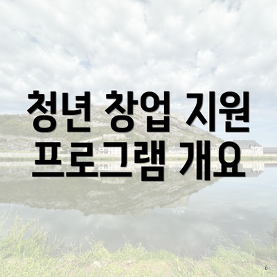 청년 창업 지원 프로그램 개요