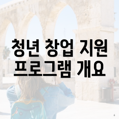 청년 창업 지원 프로그램 개요
