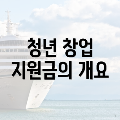 청년 창업 지원금의 개요