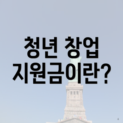 청년 창업 지원금이란?