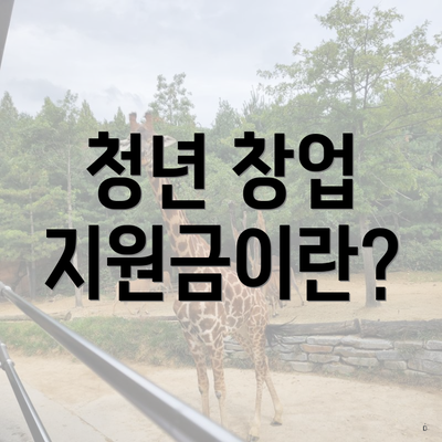 청년 창업 지원금이란?