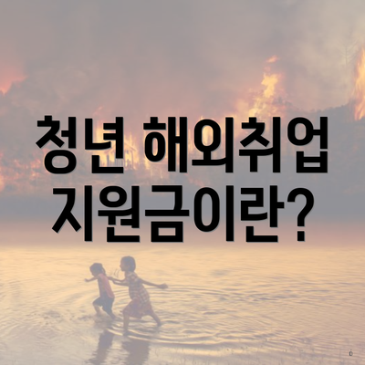 청년 해외취업 지원금이란?