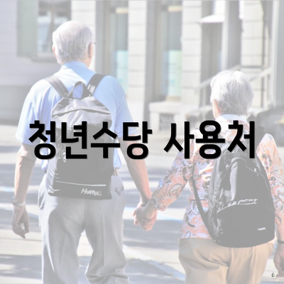 청년수당 사용처