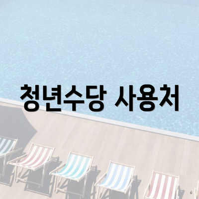 청년수당 사용처