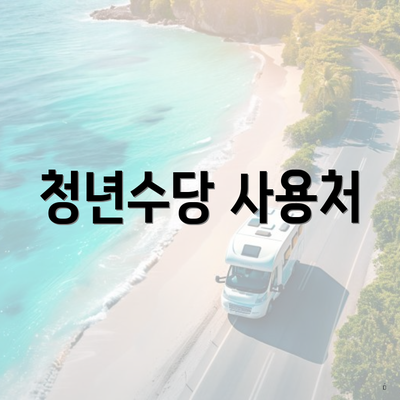 청년수당 사용처