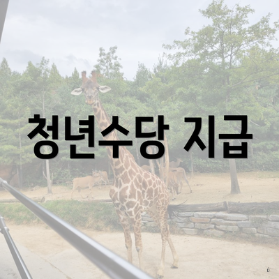 청년수당 지급