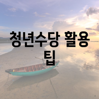 청년수당 활용 팁