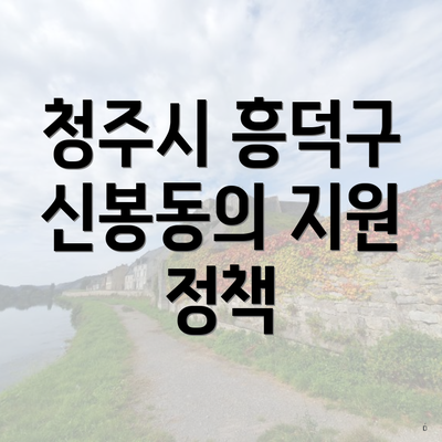 청주시 흥덕구 신봉동의 지원 정책