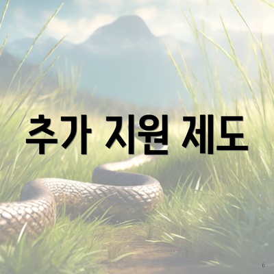 추가 지원 제도