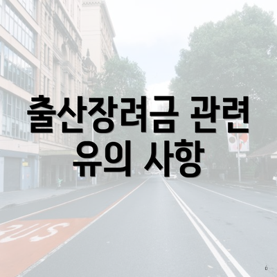 출산장려금 관련 유의 사항