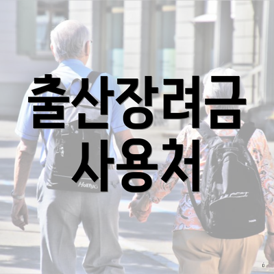 출산장려금 사용처