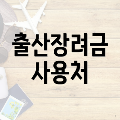 출산장려금 사용처