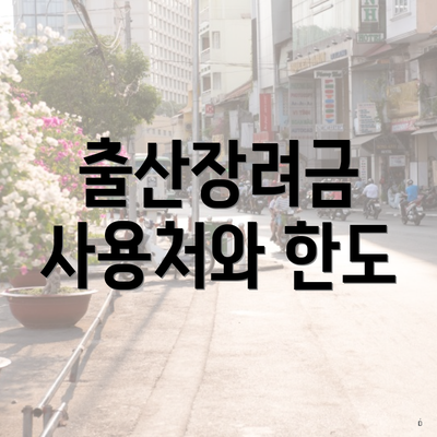 출산장려금 사용처와 한도