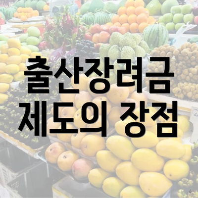 출산장려금 제도의 장점