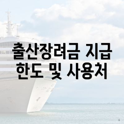 출산장려금 지급 한도 및 사용처