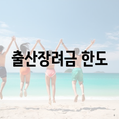 출산장려금 한도