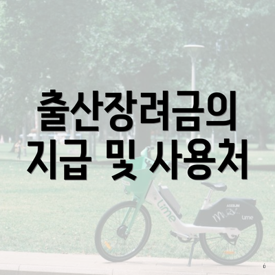 출산장려금의 지급 및 사용처