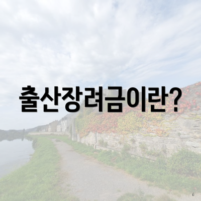 출산장려금이란?
