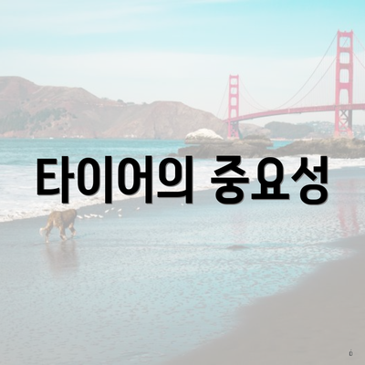 타이어의 중요성