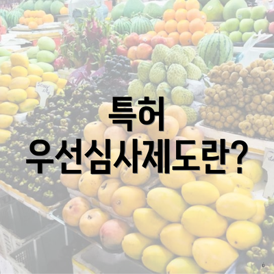 특허 우선심사제도란?