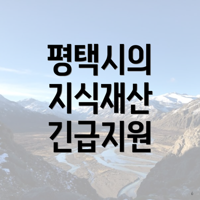 평택시의 지식재산 긴급지원
