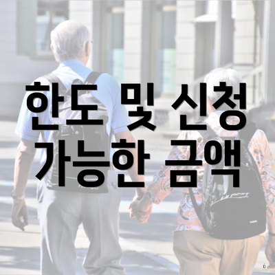 한도 및 신청 가능한 금액