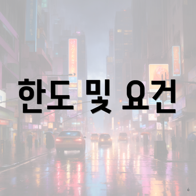 한도 및 요건