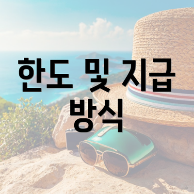 한도 및 지급 방식