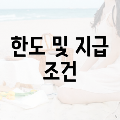 한도 및 지급 조건