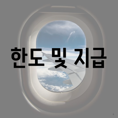 한도 및 지급